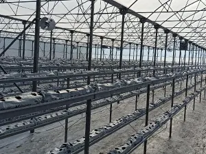 Ne Farm